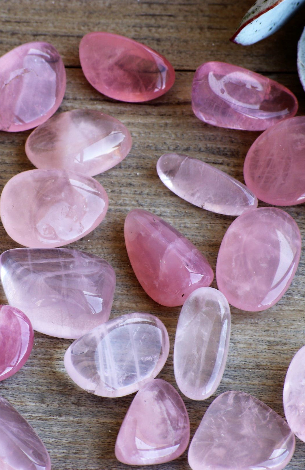 Rose Quartz AAA Tumbled Stone